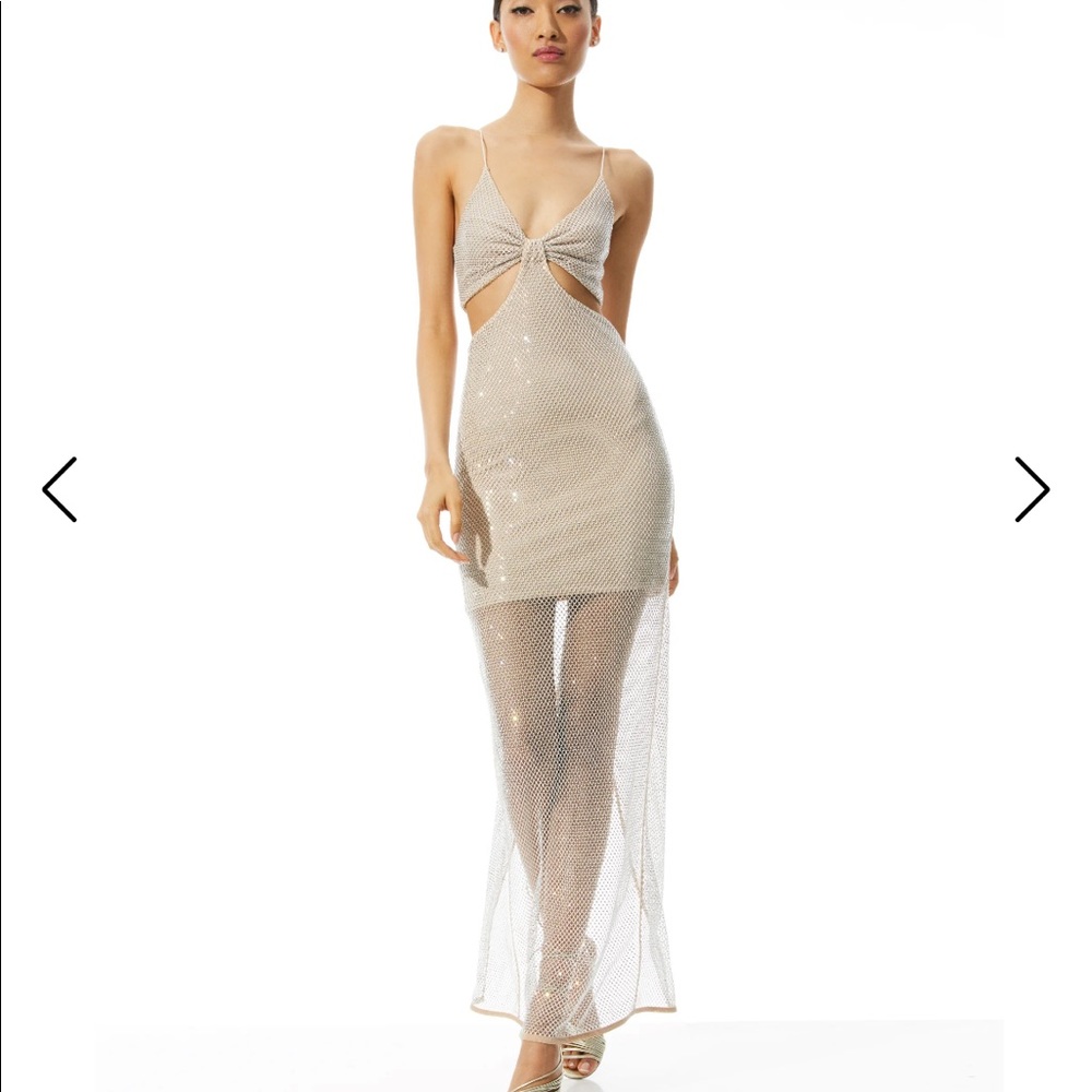 Alice & Olivia Havana Cut Out Maxi (Size 2 worn once!)